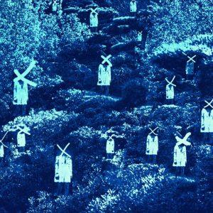 Issac Antonio Silva – too many yous